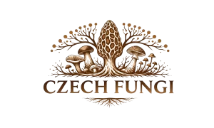 Největší houbařský festival v ČR CZECH FUNGI FEST 4 Sociální sítě CZECH FUNGI