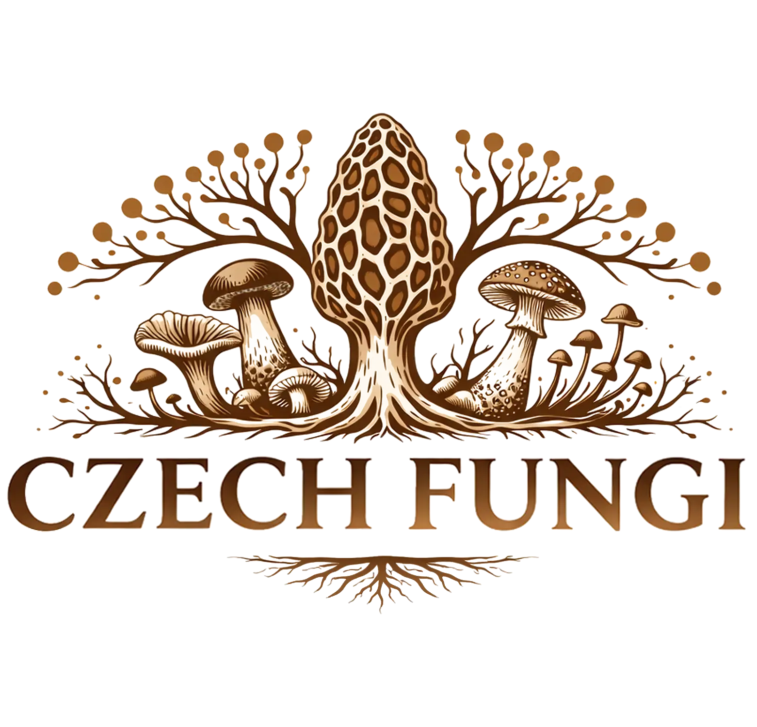 Czech Fungi